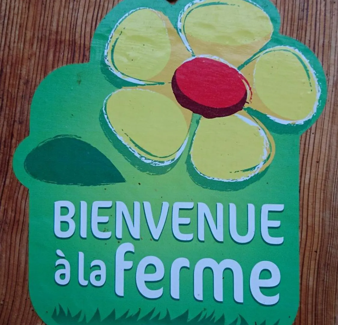 Gite Du Bout Du Monde La Bergerie Barreme Holiday home